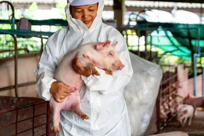 Credit: iStock.com/rat0007.